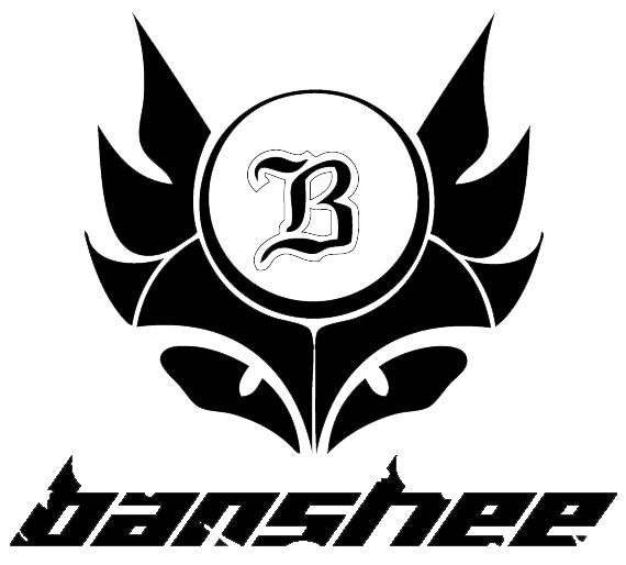 Banshee Motorbikes for Sale: High-Speed Performance and Reliability